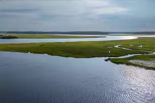 8488 Middleton Point Ln, Edisto Island, SC 29438 - Photo 4