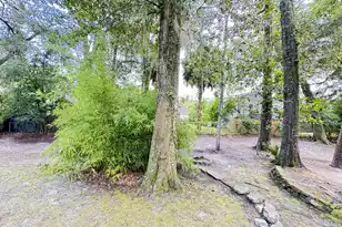 106 Hayne St, Walterboro, SC 29488 - Photo 158