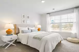 118 Cypress Hollow Way, Santee, SC 29142 - Photo 12