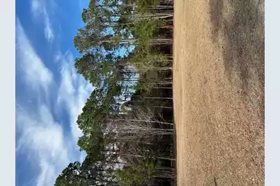 57 Seaside Road, Edisto Island, SC 29438 - Photo 8