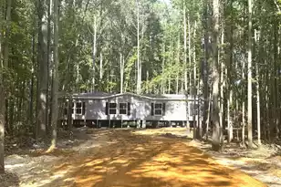 226 Alton Way, Cottageville, SC 29435 - Photo 4