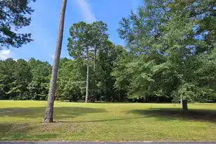 145 Wood Lake Dr, Manning, SC 29102 - Photo 1