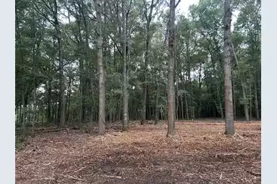 7 Francis Marion Boulevard, Summerton, SC 29148 - Photo 22