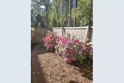 1167 Landau Lane, Mount Pleasant, SC 29466 - Photo 28