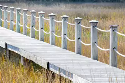 1612 Zurlo Way, Johns Island, SC 29455 - Photo 16