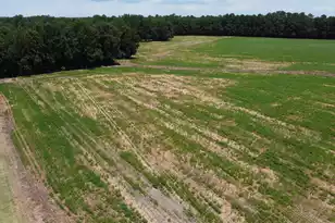 0 Black River Rd, New Zion, SC 29111 - Photo 1