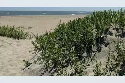 310 Drayton Street, McClellanville, SC 29458 - Photo 10