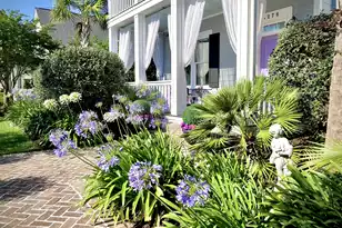 4278 Home Town Ln, Ravenel, SC 29470 - Photo 2