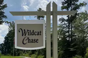 123 Scout Dr, Summerville, SC 29486 - Photo 22