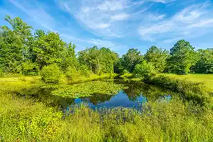 676 Public Lndg Ln, Yemassee, SC 29945 - Photo 154