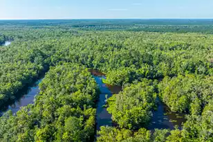 676 Public Lndg Ln, Yemassee, SC 29945 - Photo 172