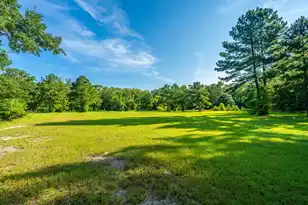 676 Public Lndg Ln, Yemassee, SC 29945 - Photo 150