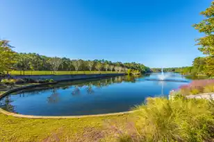 137 Brant Dr, Summerville, SC 29483 - Photo 48