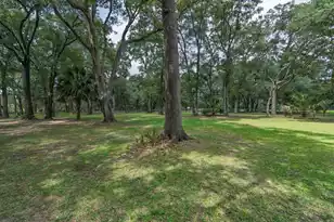 8830 Shell House Rd, Edisto Island, SC 29438 - Photo 70