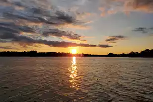 245 Plantation Dr, Manning, SC 29102 - Photo 62