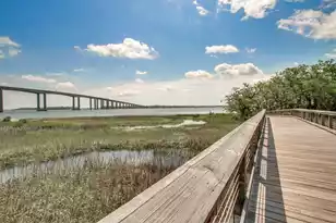 130 River Landing Dr, Daniel Island, SC 29492 - Photo 20