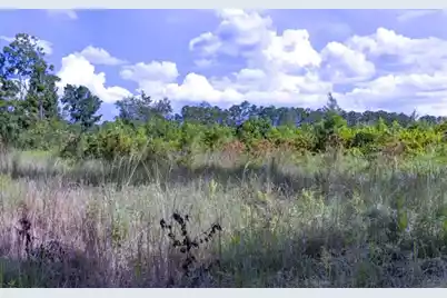 0 Mulberry Road, Saint George, SC 29477 - Photo 8