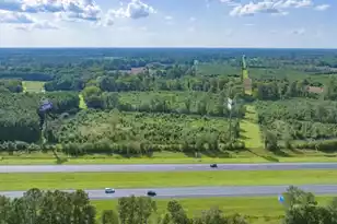 0 Mulberry Rd, Saint George, SC 29477 - Photo 22