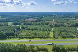 0 Mulberry Rd, Saint George, SC 29477 - Photo 18