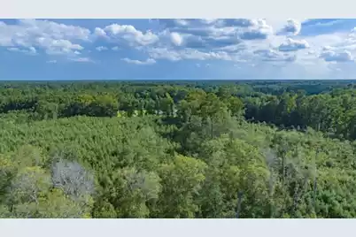 0 Mulberry Road, Saint George, SC 29477 - Photo 42