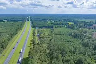 0 Mulberry Rd, Saint George, SC 29477 - Photo 12