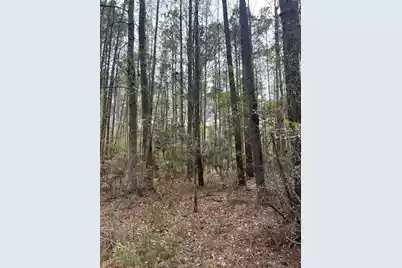 0 Palm Street, Reevesville, SC 29471 - Photo 1