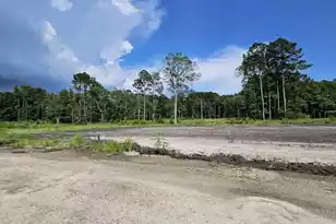 1160 Porcher School Rd Lot 4, Awendaw, SC 29429 - Photo 1