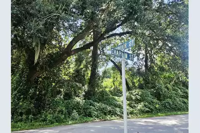 0 Chaplin Street, Walterboro, SC 29488 - Photo 2