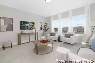 425 Myers Mayo Rd, Ridgeville, SC 29472 - Photo 24