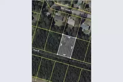 141 Toya Street, Walterboro, SC 29488 - Photo 1