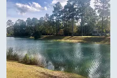 4163 Deep Step Drive, Ravenel, SC 29470 - Photo 16