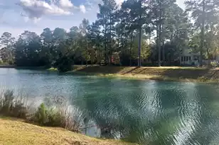 4163 Deep Step Dr, Ravenel, SC 29470 - Photo 16