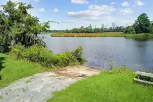 123 Pelzer Dr, Summerville, SC 29485 - Photo 64