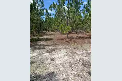 Ppf 8 Payne Pond Road #Ppf 8, Westville, SC 29175 - Photo 6