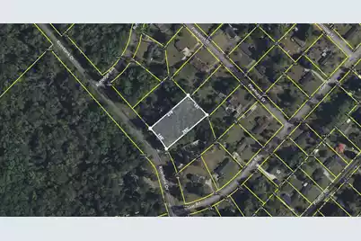 1550 Riverbank Drive, Orangeburg, SC 29115 - Photo 1