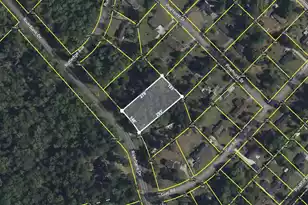 1550 Riverbank Dr, Orangeburg, SC 29115 - Photo 1