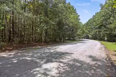 0 Pawlett Blake Lane, Wadmalaw Island, SC 29487 - Photo 4