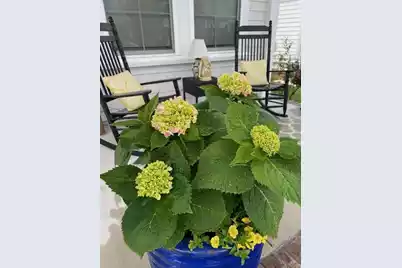 107 True Blue Loop, Summerville, SC 29486 - Photo 58