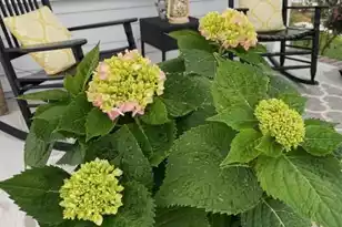 107 True Blue Loop, Summerville, SC 29486 - Photo 58