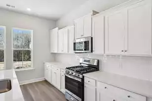 185 Threaded Fern St, Summerville, SC 29485 - Photo 14