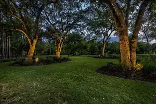 975 Mayfield St, Summerville, SC 29485 - Photo 72