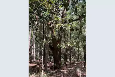 4226 Wild Turkey Way, Johns Island, SC 29455 - Photo 32