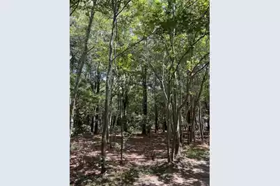 4226 Wild Turkey Way, Johns Island, SC 29455 - Photo 30