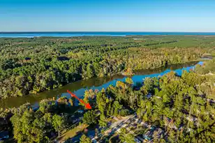 232 Ash Hill Dr, Eutawville, SC 29048 - Photo 40