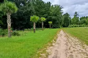 36 Youmans Ln, Smoaks, SC 29481 - Photo 10