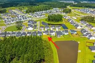 115 Swaying palm Dr, Summerville, SC 29485 - Photo 34