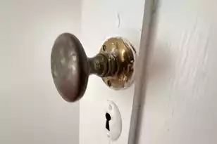 303 Warren St, Walterboro, SC 29488 - Photo 132