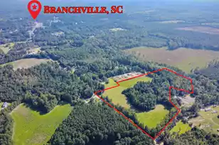 00 Freedom Rd, Branchville, SC 29432 - Photo 1