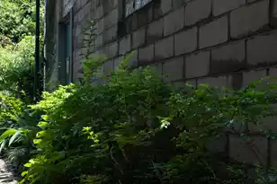 10 Philadelphia Alley Lot C, Charleston, SC 29401 - Photo 12