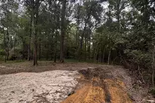 943 Harmony Hall Ln, Round O, SC 29474 - Photo 14